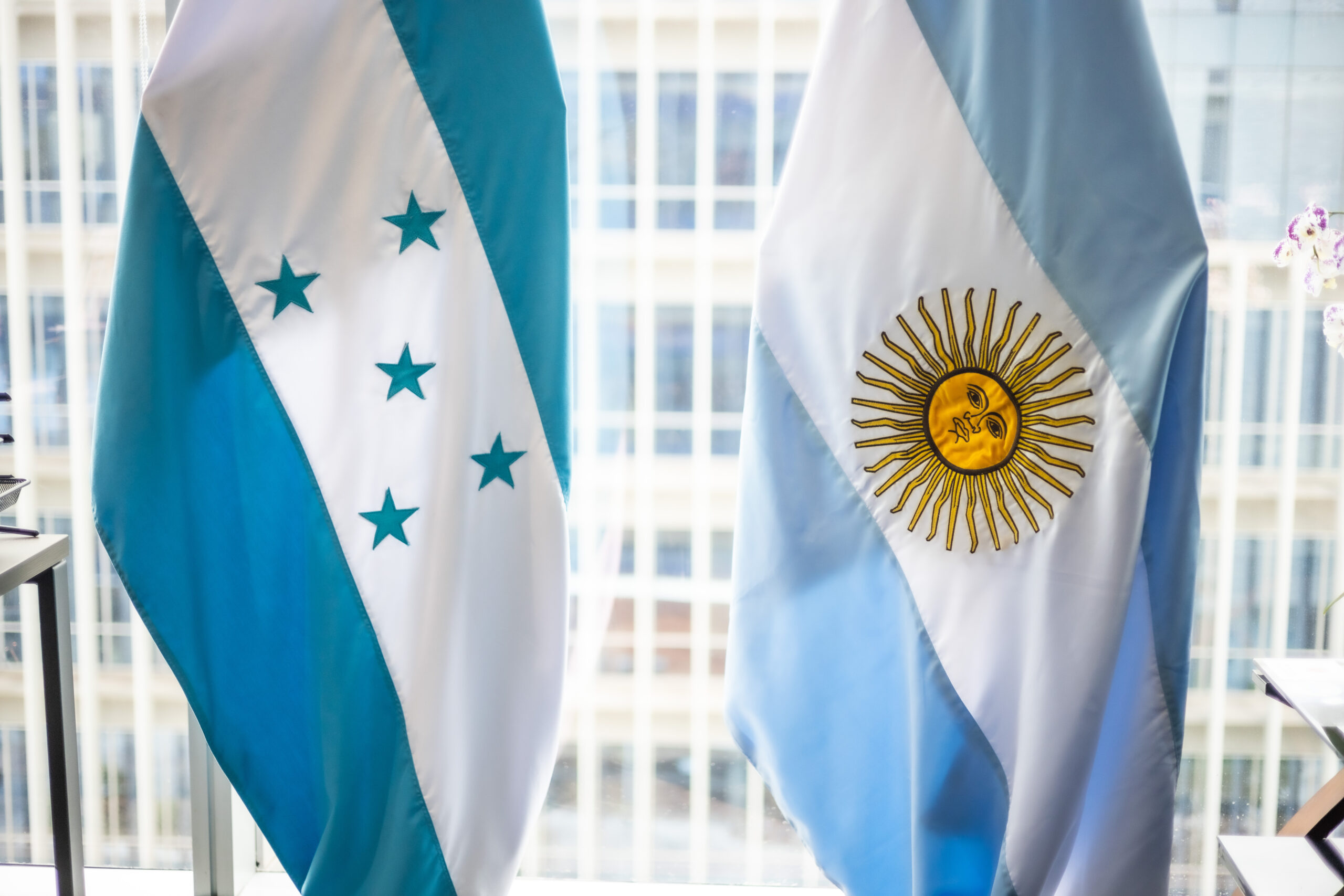 Ministro de la SEDESOL recibe a embajador de la República de Argentina en Honduras