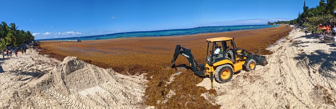 Gobierno actúa con prontitud para proteger el turismo y el empleo en Roatán